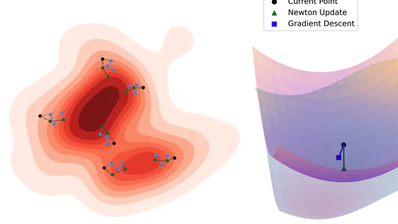 Stein Variational Newton Neural Network Ensembles